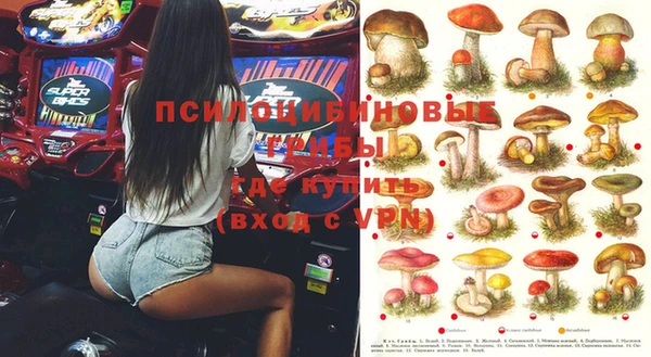 прущие грибы Верхний Тагил