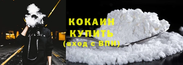 прущие крисы Верея