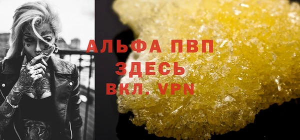 прущие грибы Верхний Тагил