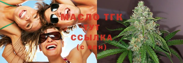 прущие грибы Верхний Тагил